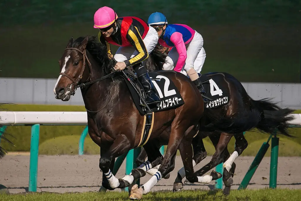 【根岸S予想2022】古豪タイムフライヤー、勢いのある騎手とのタッグで復活なるか？