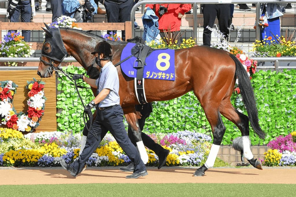 【JRA】中山記念・11着のダノンザキッドがドバイ遠征不可能に、枠内駐立不良のため