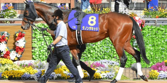 【JRA】ダノンザキッドが引退、種牡馬入り