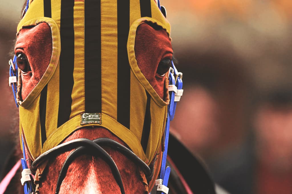 【フェブラリーS予想2022】地方代表馬のミューチャリー、三度目の正直なるか？