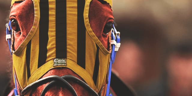 【フェブラリーS予想2022】地方代表馬のミューチャリー、三度目の正直なるか？