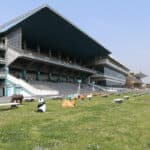 【名古屋大賞典2025予想】実績馬か新興勢力か？飛躍を期す馬たちの前哨戦