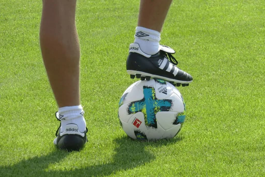 JRAジャパンC(2022)のサインは“W杯・アルゼンチンVSサウジアラビア戦”！消し馬2頭とは？