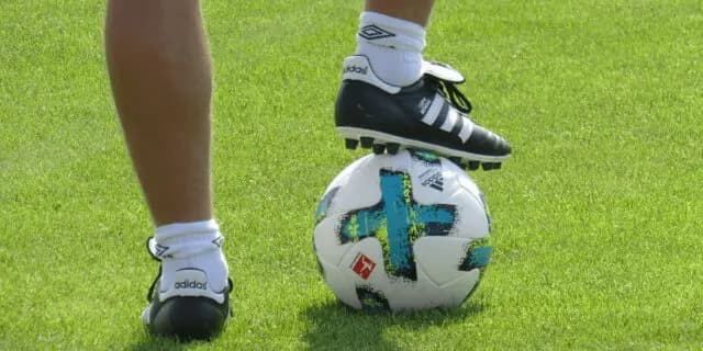 JRAジャパンC(2022)のサインは“W杯・アルゼンチンVSサウジアラビア戦”！消し馬2頭とは？