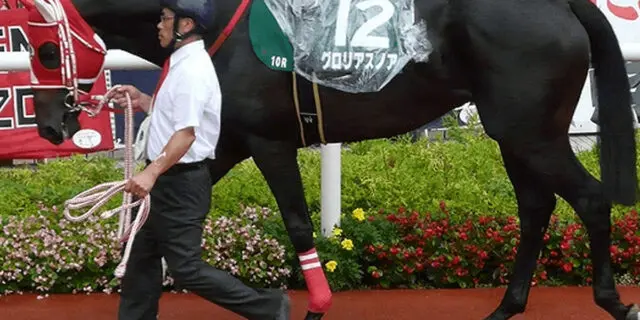 産駒勝ち上がり率100%！驚異の成績を刻む種牡馬とは？