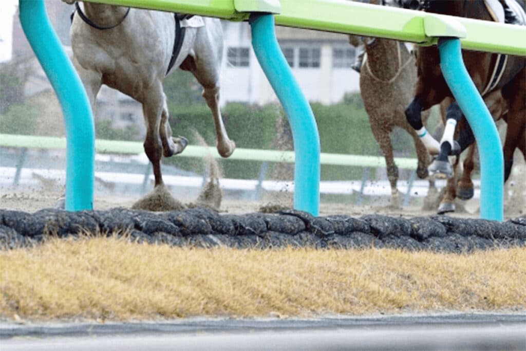 【JRA京都記念2025予想】最終追い切り・調教内容が高評価の馬トップ3は？