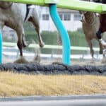 【福島記念2024予想】最終追い切り・調教内容が高評価の馬トップ3は？