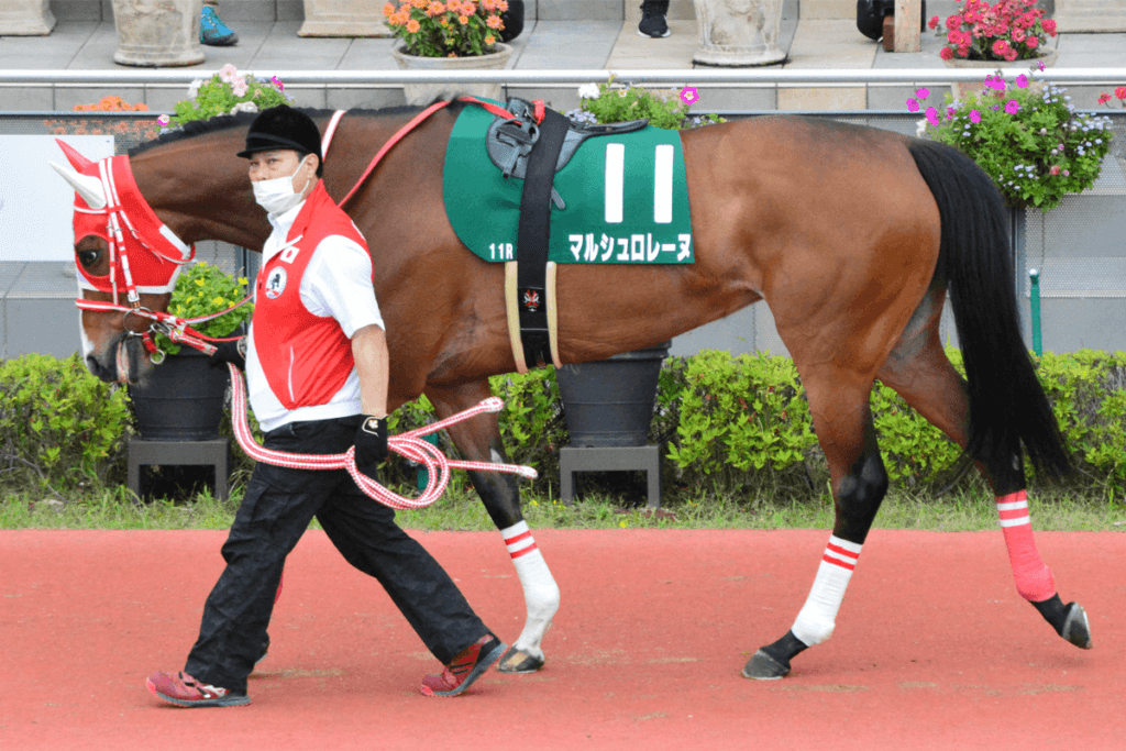 海外ダートG1制覇を果たしたマルシュロレーヌが引退、繁殖馬に