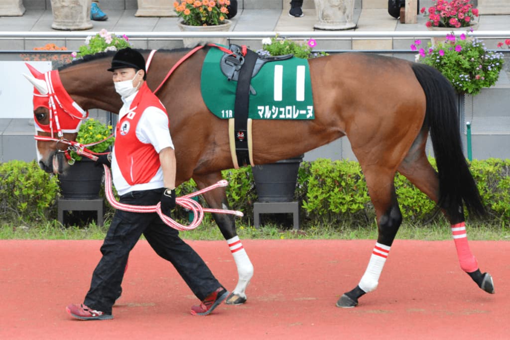 海外ダートG1制覇を果たしたマルシュロレーヌが引退、繁殖馬に