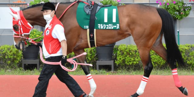 海外ダートG1制覇を果たしたマルシュロレーヌが引退、繁殖馬に