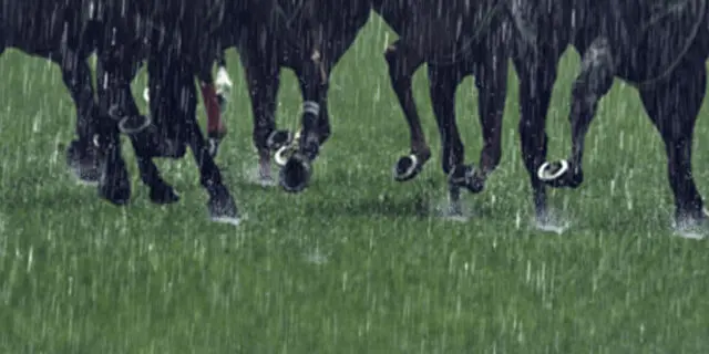 【北九州記念2024予想】決め手上位のエイシンスポッター、差し決まる展開なるか？