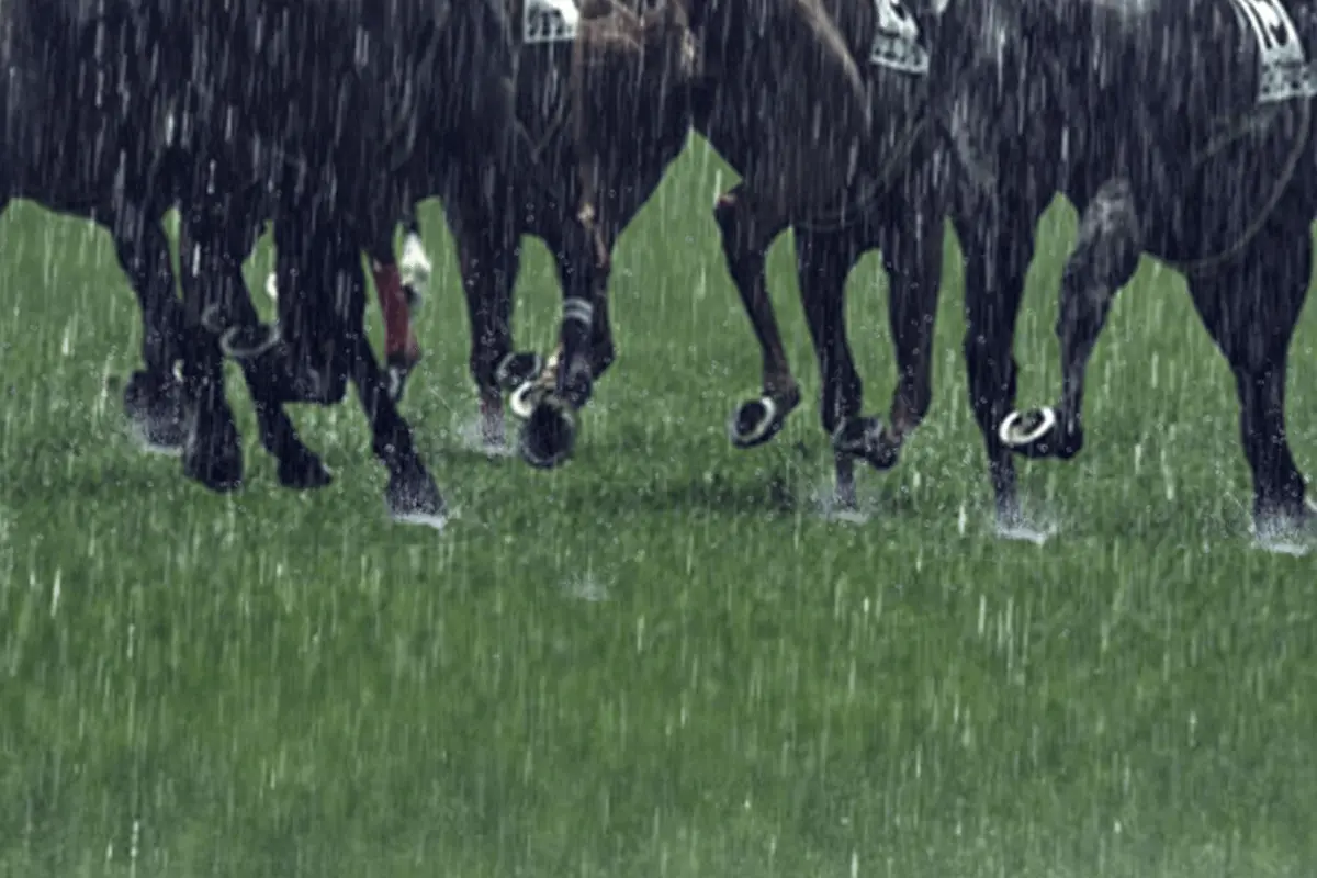 【JRA青葉賞2023予想】雨で浮上する激走期待の穴馬は〝この馬〟だ！