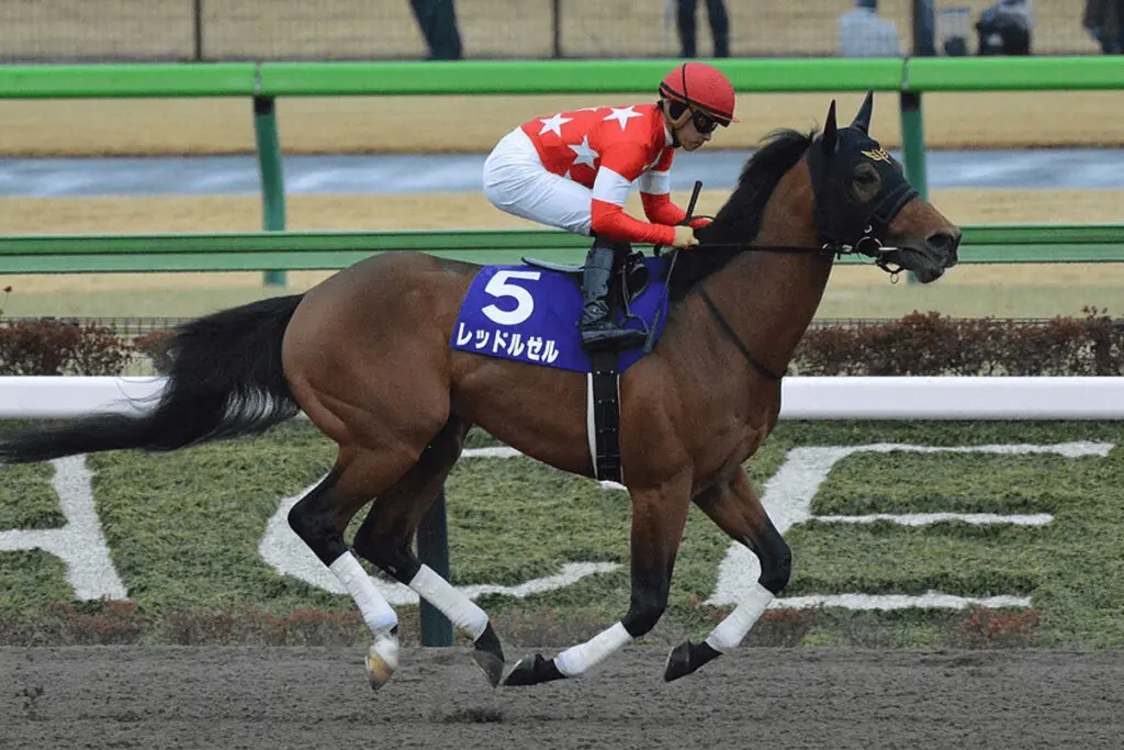 【ドバイゴールデンシャヒーン予想2022】レッドルゼル、昨年以上の好条件！
