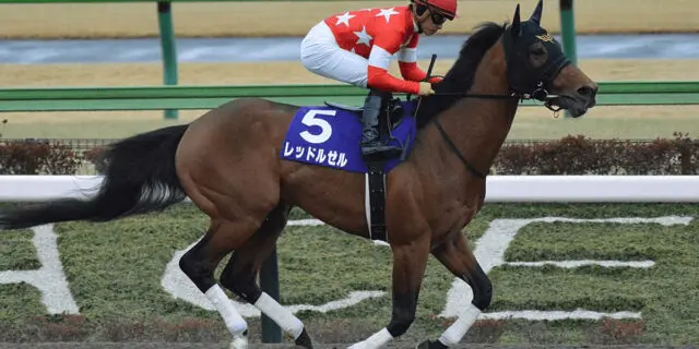 【ドバイゴールデンシャヒーン予想2022】レッドルゼル、昨年以上の好条件！