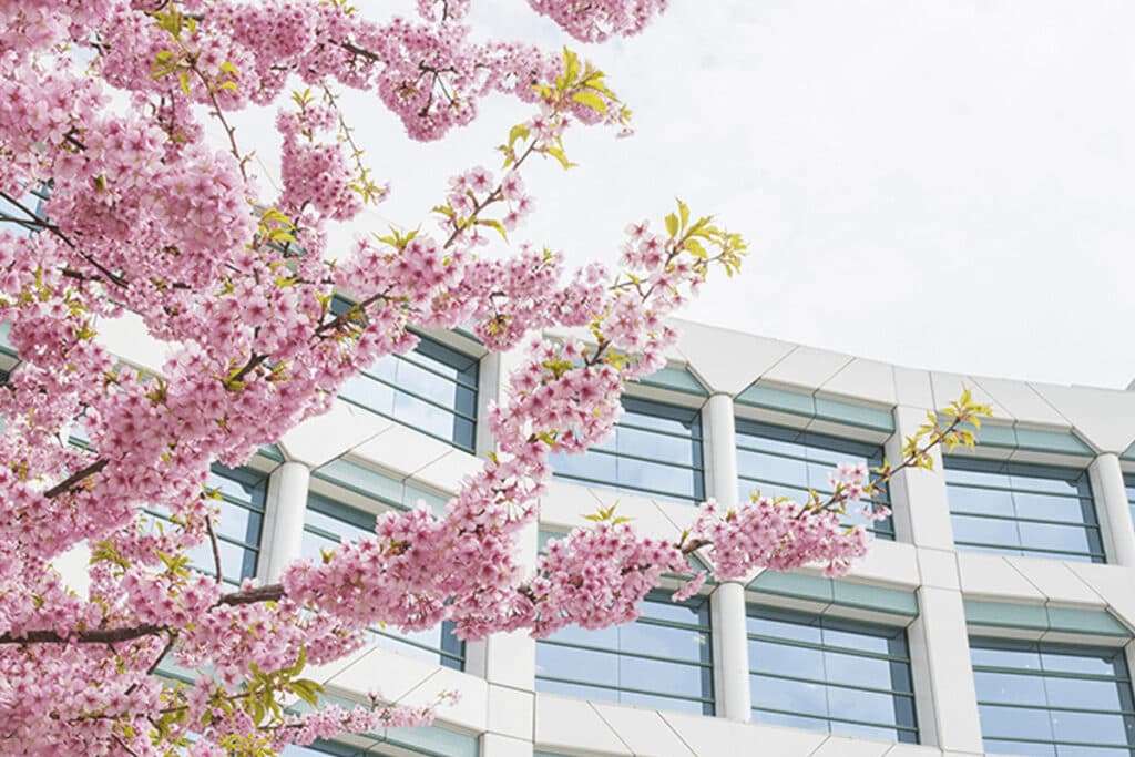 【高松宮記念2022予想】春のスプリント王決定戦！レシステンシアやメイケイエールなど出走予定馬を考察