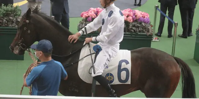 【香港マイル2023予想】世界歴代賞金王者ゴールデンシックスティ、三度目の優勝なるか？