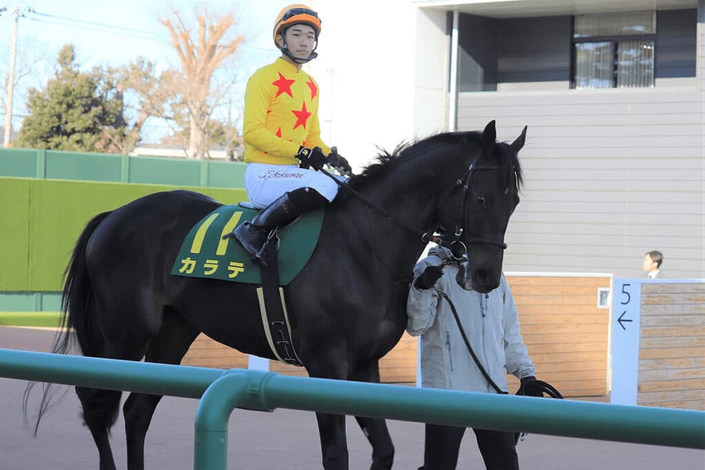 カラテが屈腱炎で現役引退、今後は未定
