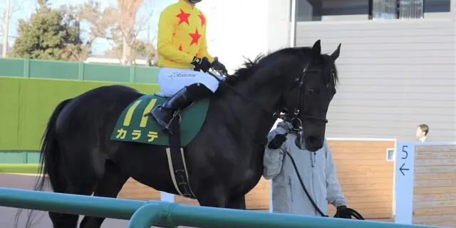 【マイラーズC予想2022】カラテ新天地での転厩初戦、好調維持なるか？