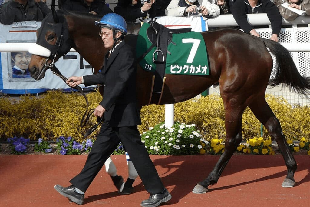 ピンクカメオが死亡、07年のNHKマイルC覇者