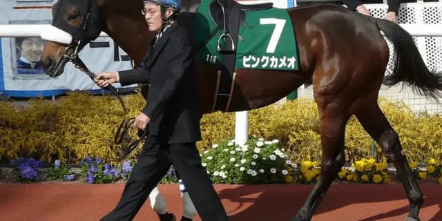 ピンクカメオが死亡、07年のNHKマイルC覇者