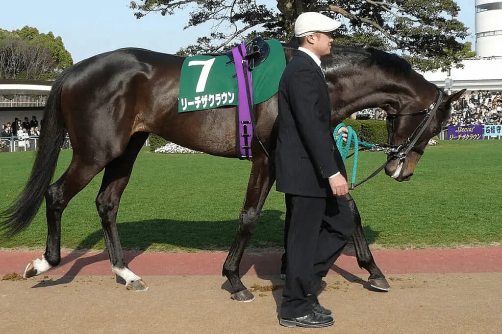 スペシャルウィークの系譜を受け継ぐリーチザクラウンに今年は注目