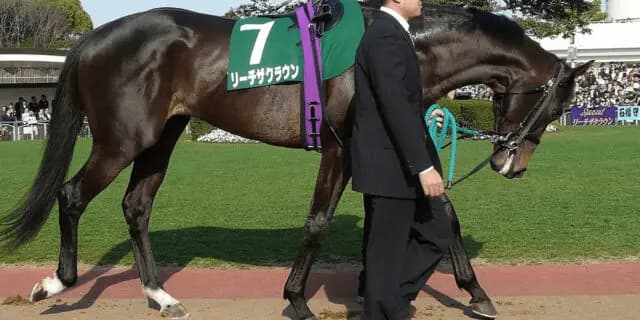 スペシャルウィークの系譜を受け継ぐリーチザクラウンに今年は注目