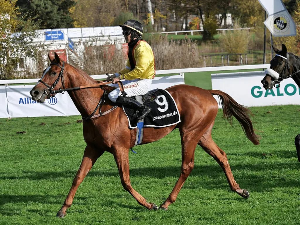 凱旋門賞制覇も現役続行のトルカータータッソ、今年のローテーションは?