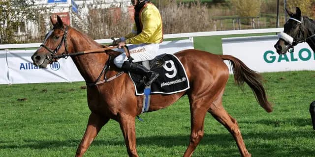 凱旋門賞制覇も現役続行のトルカータータッソ、今年のローテーションは？