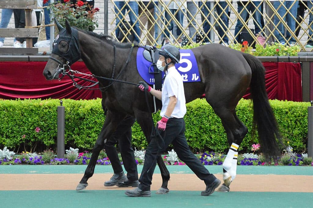 【ヴィクトリアマイル2022予想】東京マイルで持ち味生きる！復調気配のデゼルに期待
