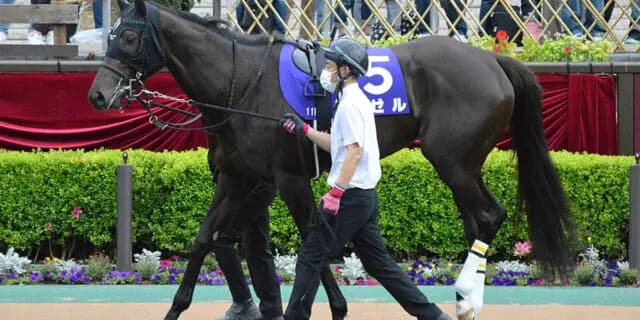 【ヴィクトリアマイル2022予想】東京マイルで持ち味生きる！復調気配のデゼルに期待