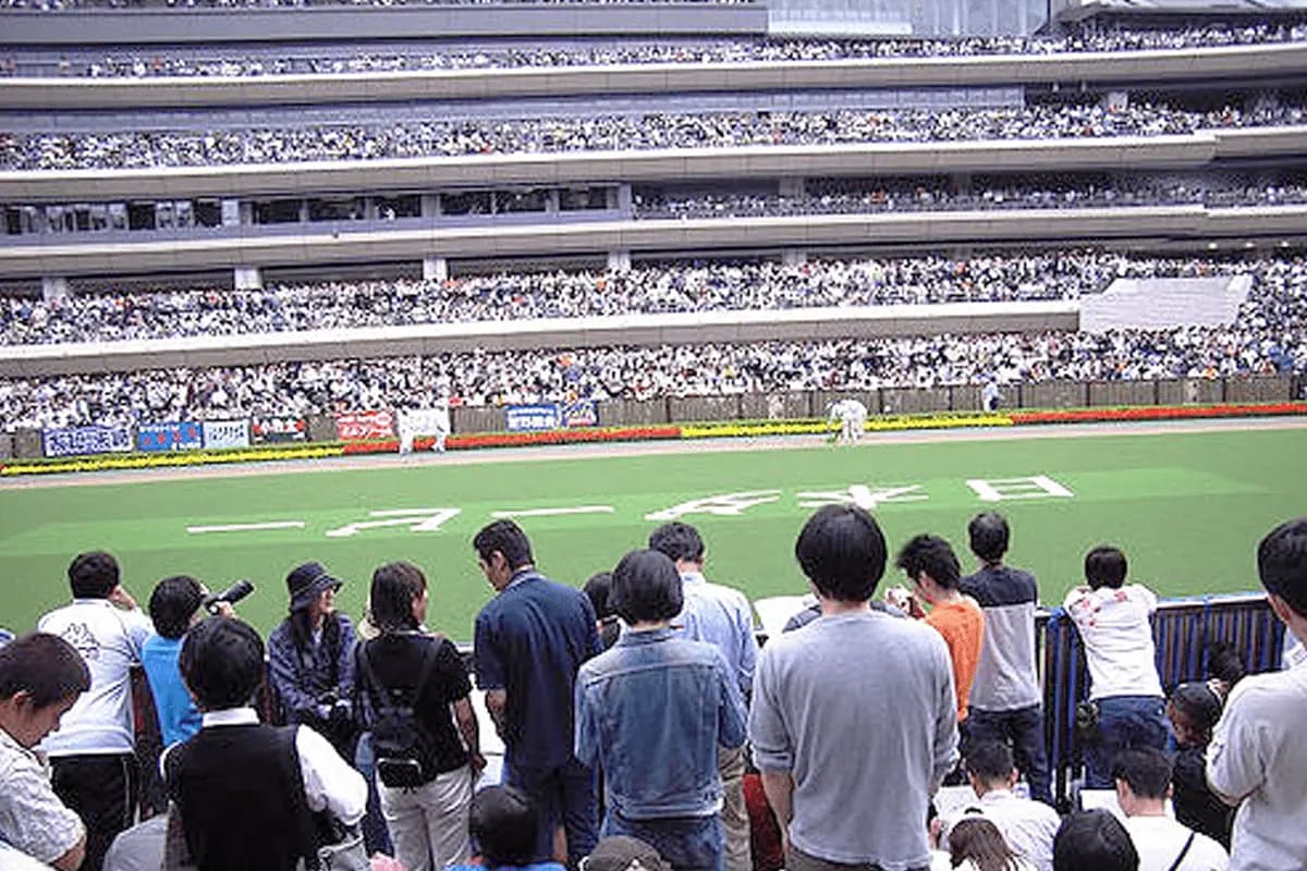 【ジャパンC予想2022】中央競馬の総決算！シャフリヤールやダノンベルーガなど出走予定馬を考察