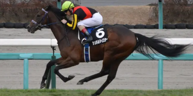 【安田記念2022予想】主役はシュネルマイスター、ベスト舞台で巻き返せるか？