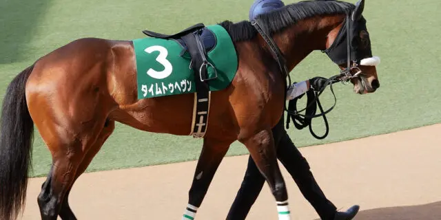 【京王杯スプリングC予想】タイムトゥヘヴン、前走の勢いそのままに連勝なるか？