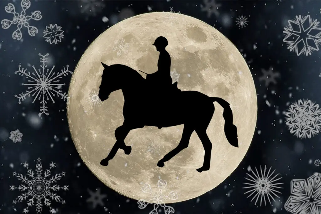 【甲州街道S予想2022】休み明けこそ狙いたい穴馬とは？