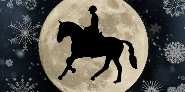 【甲州街道S予想2022】休み明けこそ狙いたい穴馬とは？