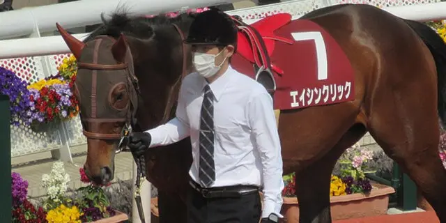 【東京ジャンプS予想2022】エイシンクリック、順当に良化なら確勝級？