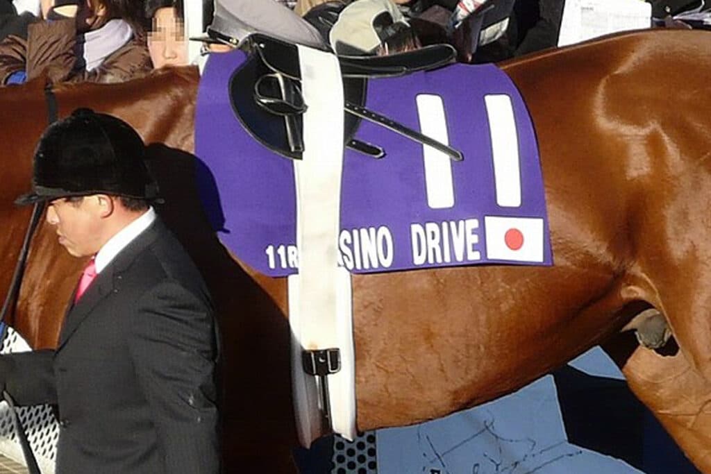 カジノドライヴ産駒が中央・地方通算1000勝達成