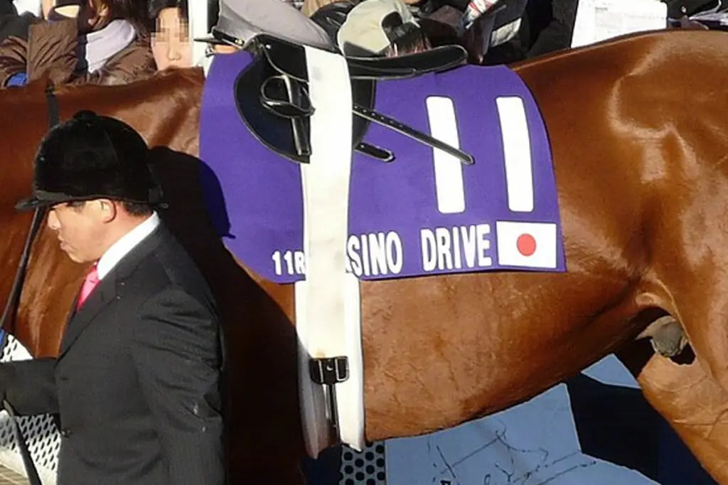 カジノドライヴ産駒が中央・地方通算1000勝達成