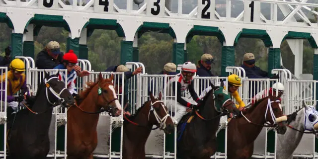 【クイーンエリザベスS2025】ジオグリフとローシャムパークの2頭が予備登録