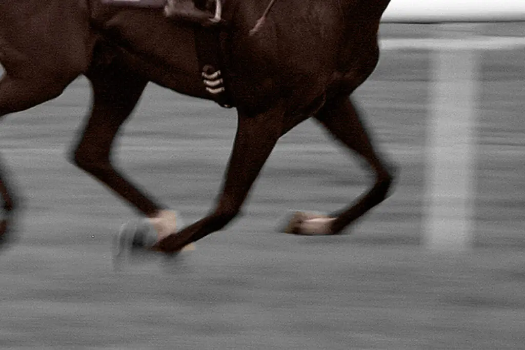 【きさらぎ賞2024予想】ファーヴェント、決め手勝負なら勝機