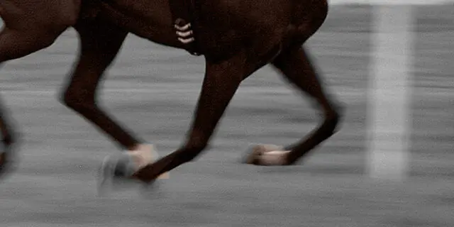 【関東オークス2024予想】逃げ馬候補のアンデスビエント、ハナを切って行き切れば