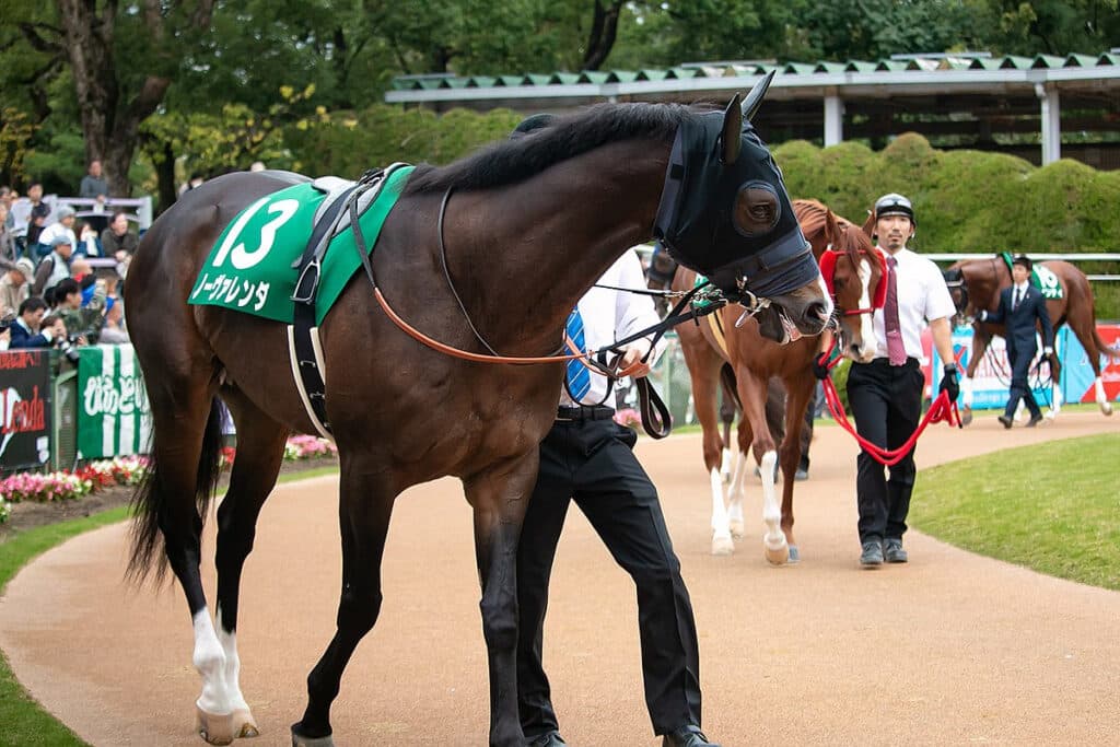 マーキュリーC・8着のノーヴァレンダ、心臓麻痺で死亡