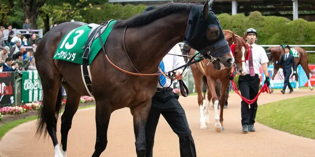 マーキュリーC・8着のノーヴァレンダ、心臓麻痺で死亡