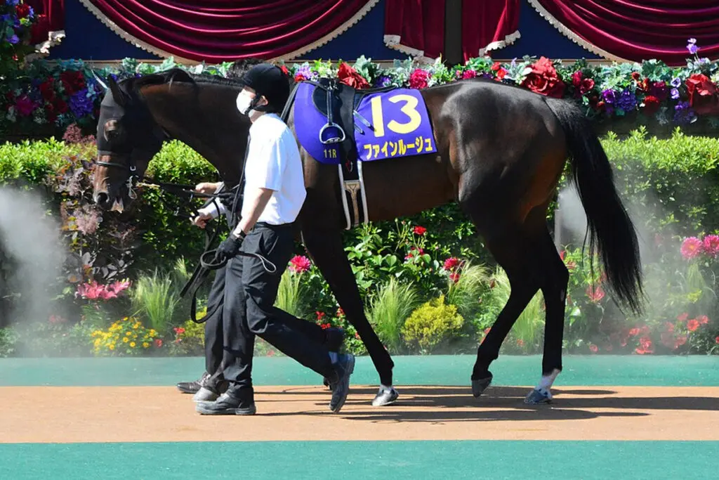 重賞2勝馬ファインルージュが引退、繁殖入り