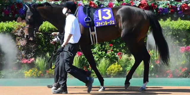 重賞2勝馬ファインルージュが引退、繁殖入り