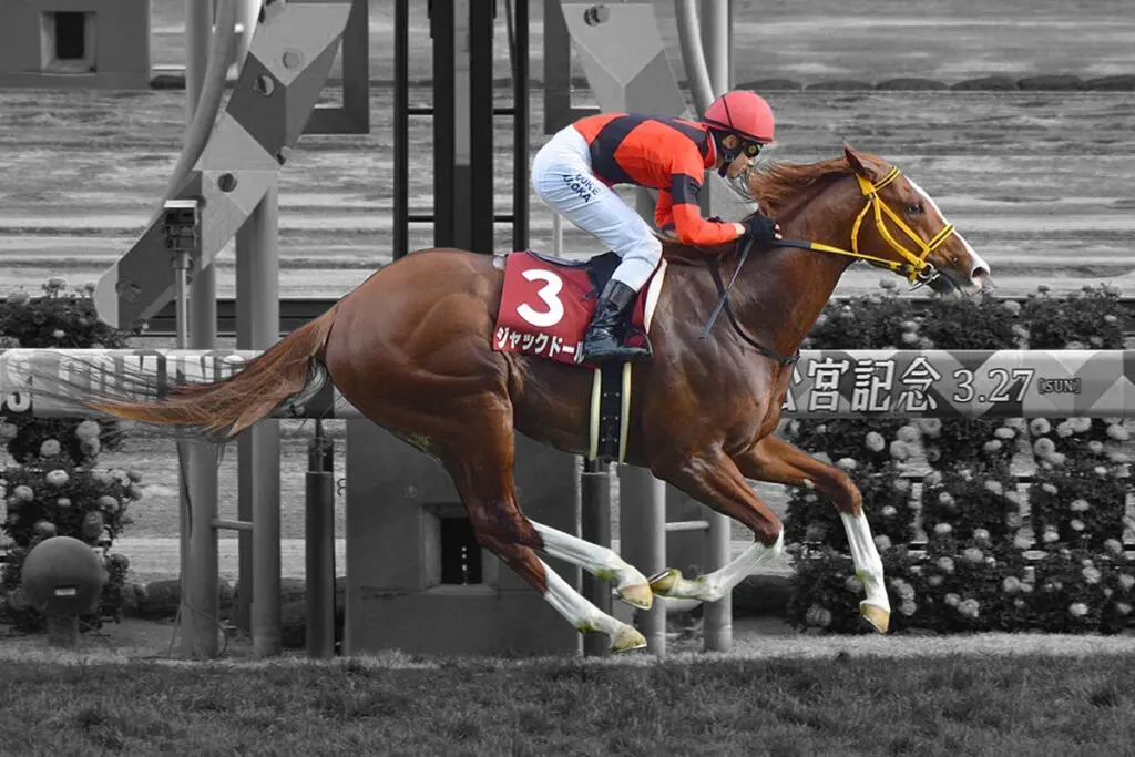 【香港カップ2022予想】日本馬4連覇なるか？ジャックドールやパンサラッサなど出走予定馬を考察