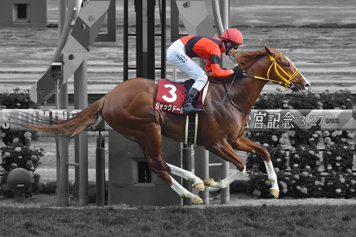 【JRA】“金髪の貴公子”ジャックドールが引退、今後は種牡馬に