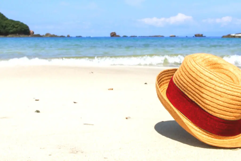 JRA新潟記念(2022)のサインは“映画ワンピース”！推奨穴馬2頭とは？