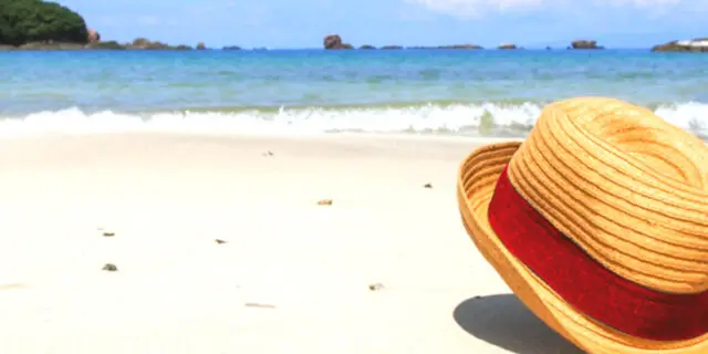 JRA新潟記念(2022)のサインは“映画ワンピース”！推奨穴馬2頭とは？