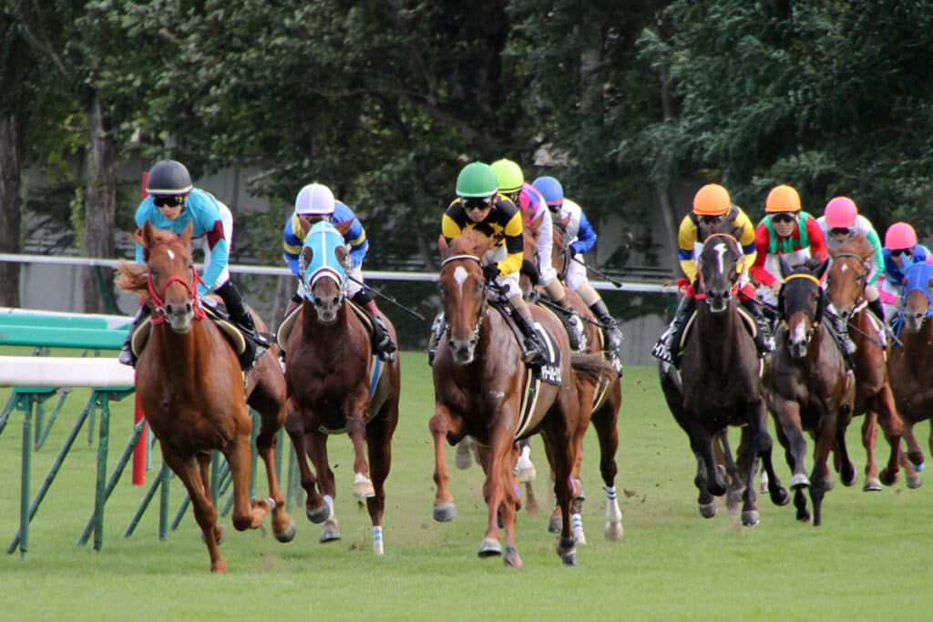 【スプリンターズS予想2024】秋のG1戦線がいよいよ開幕！サトノレーヴやナムラクレアなど出走予定馬を考察
